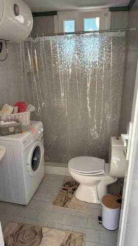 a bathroom with a toilet and a washing machine at Elia in Kalamoti