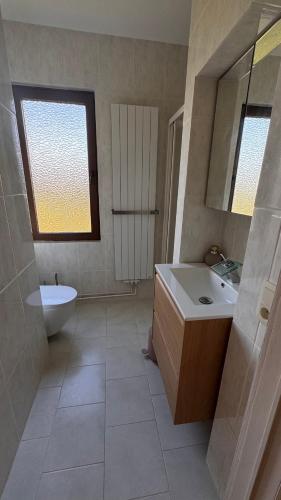 a bathroom with a sink and a toilet and a mirror at Charmante appartement in Wilrijk in Antwerp