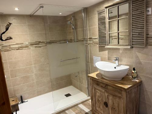 a bathroom with a sink and a glass shower at La Maison d’Elise in Beine