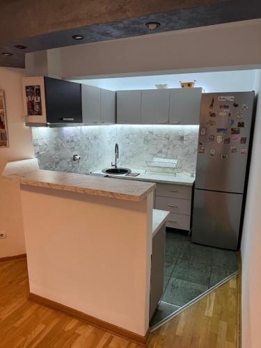 a kitchen with a sink and a refrigerator at Pasha House in Belgrade
