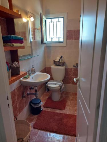 a bathroom with a toilet and a sink at Kerkis View House-Garden View in Karlovasi