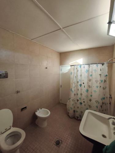 a bathroom with a toilet and a sink and a shower at La Oliva in San Martín