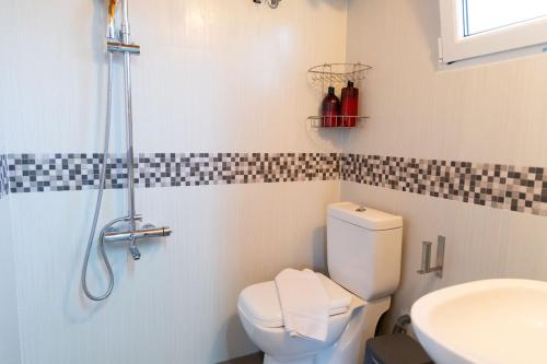a bathroom with a shower and a toilet and a sink at Mani Tigani View Studio in Kafióna