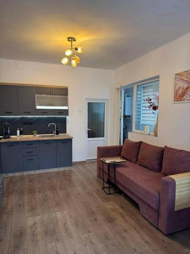 a living room with a couch and a kitchen at Casa Elena, Ocna Mureș in Ocna-Mureşului