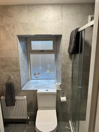 a bathroom with a toilet and a window with two wine glasses at Shrule Cosy Nest in Shruthair