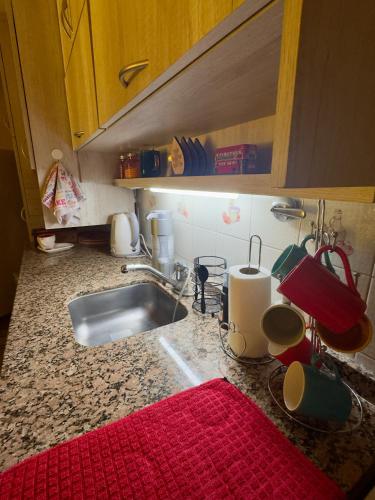 a kitchen counter with a sink and a red rug at Loft Helena - acogedor, completo y céntrico in Jesús María