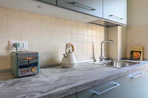 Spacious bright and cozy penthouse with terrace