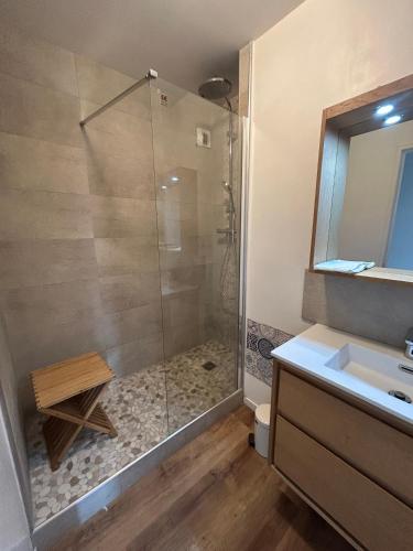 a bathroom with a shower and a sink at appartement vincennes avec balcon in Vincennes