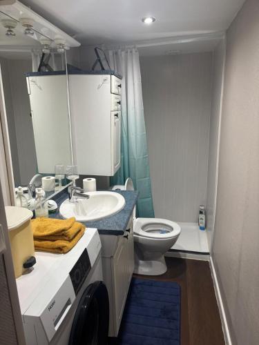 a bathroom with a sink and a toilet at Appart familial in Kogenheim