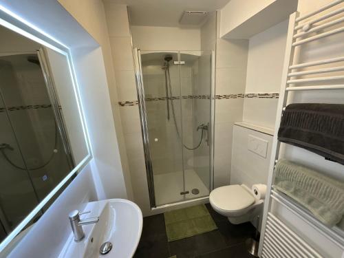 a bathroom with a shower and a toilet and a sink at Ferienwohnung historisches Teisendorf in Teisendorf