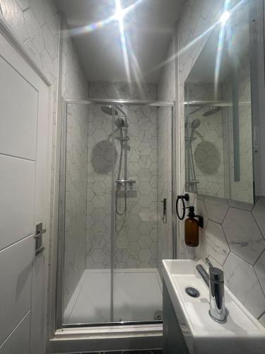Sauna flat Central Brighton photo 7