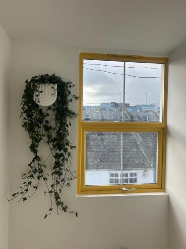 Sauna flat Central Brighton photo 12