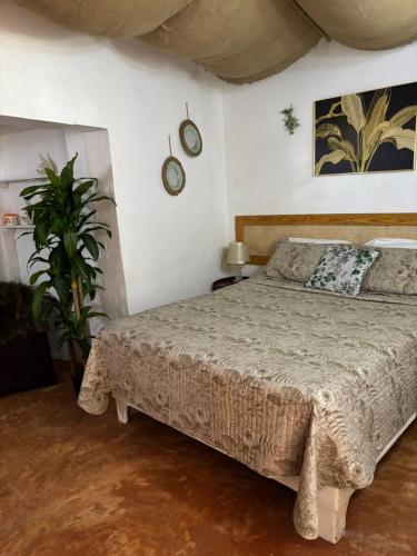 a bedroom with a bed and a plant in it at Hotel Restaurant Wuarao - Antiguo Club Rolling Stones in Boca Chica
