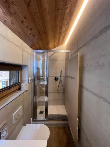a small bathroom with a shower and a sink at La Grangette in Grimentz