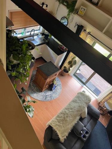 an overhead view of a living room with plants at Fernside Tranquil Retreat in Pauanui