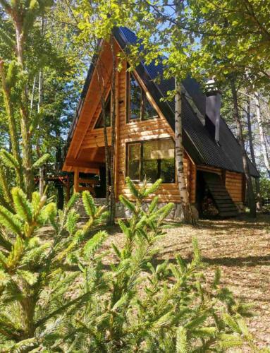a log cabin in the woods with trees at Forest Rhapsody Brezna in Plužine