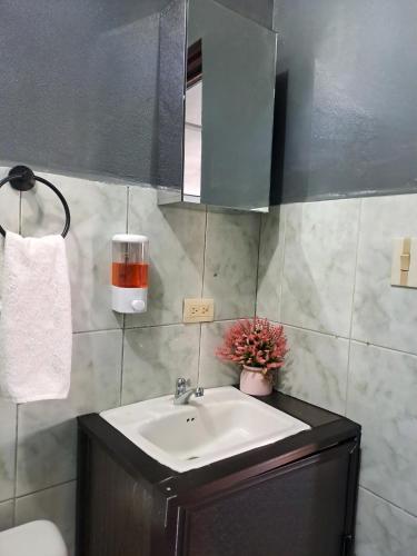a bathroom with a sink and a mirror at Quepos Explorers Hub Spacious Apartment in Quepos