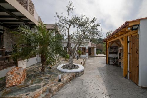 To Stolidi tis Psinthou