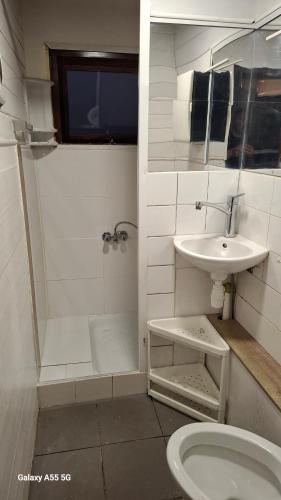 a bathroom with a sink and a shower and a toilet at Chalet Lieke Nr386 in Eext