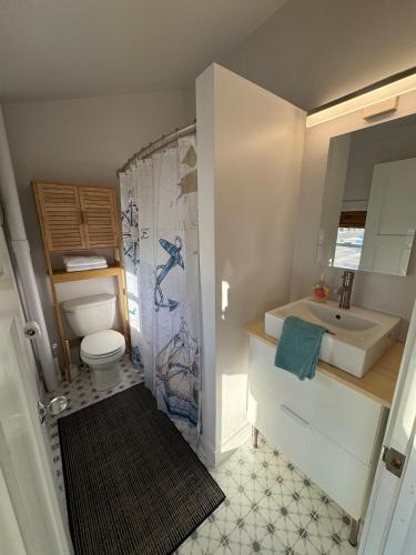 a bathroom with a toilet and a sink at Cozy cabin by the lake in Spring Lake