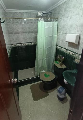 a bathroom with a shower and a toilet and a sink at Hospedaje Donde Jaime-Choachí in Choachí