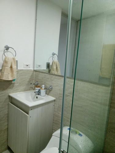 a bathroom with a shower and a sink and a toilet at Dónde Habita in Circasia