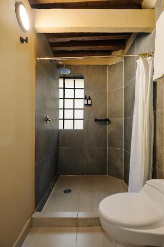 a bathroom with a toilet and a shower at Colmena Hotel CDMX Centro in Mexico City