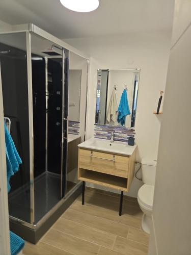 a bathroom with a shower and a sink and a toilet at Premium Villa, Maison du Manguier in Les Anses-dʼArlets