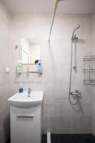 a bathroom with a sink and a shower at Boho Spa Apartments with Sauna in Sofia