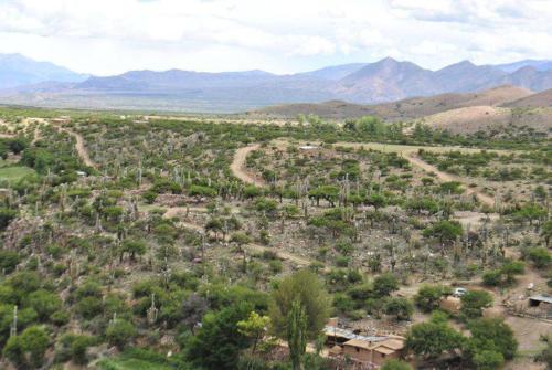 Billede fra billedgalleriet på Casa de Campo Clarita y Hector i Ovara