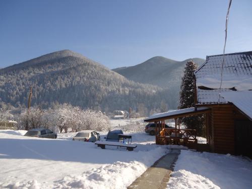 a cabin in the snow with mountains in the background at Eco Sadyba Chertizh in Tatariv