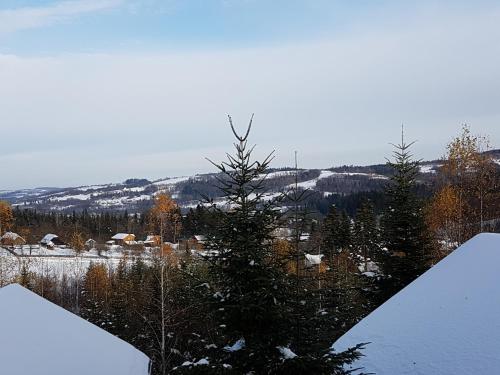 a christmas tree in the snow on a mountain at Gostynniy Dvir in Forest Коттеджи in Migovo
