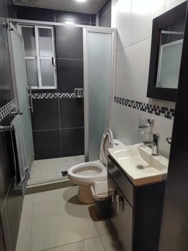 a bathroom with a toilet and a shower and a sink at Hospedaje La Patrona in Chignahuapan