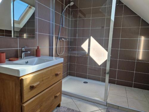 a bathroom with a sink and a shower at Les Terrasses de Laguiole in Laguiole