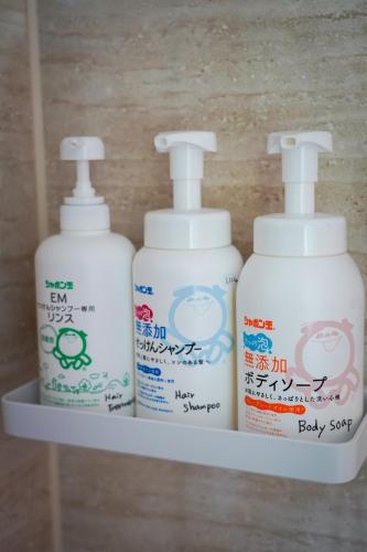 Pure Plants stay 自然豊かな石垣島北部