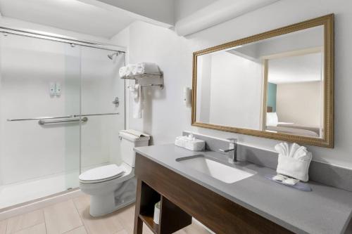 a bathroom with a sink and a toilet and a mirror at Quality Inn & Suites Lexington in Lexington