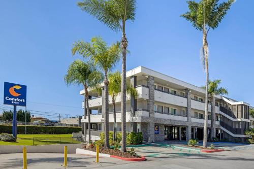 a building with palm trees in front of it at Comfort Inn Sea World Area in San Diego