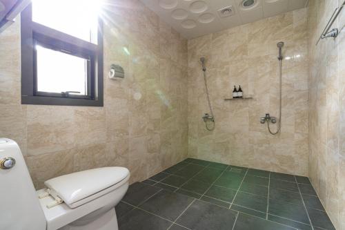 a bathroom with a toilet and a shower at Dammora Resort in Seogwipo
