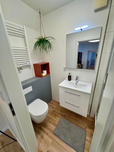 a bathroom with a toilet and a sink and a mirror at Schkeuditz Gästeapartment II in Schkeuditz