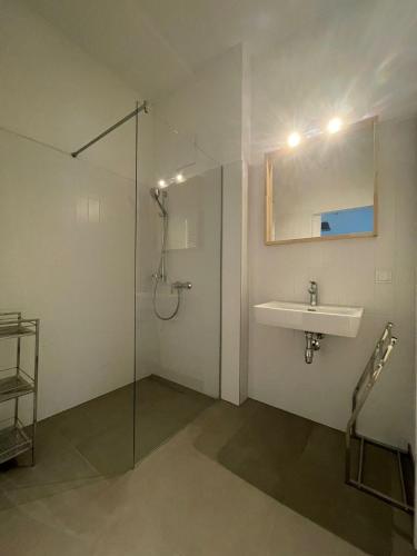 a bathroom with a sink and a shower at moderne Loft in Vienna