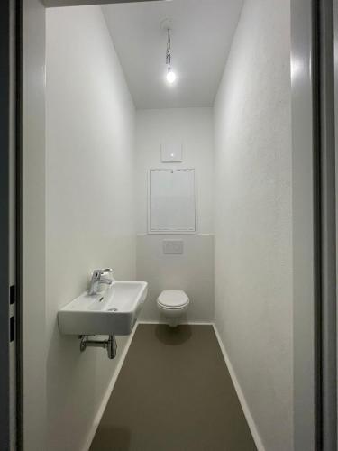 a white bathroom with a sink and a toilet at Modern Loft mit Terrasse in Vienna