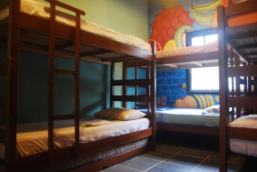 Rúm í herbergi á Samblumba Hostel Trindade