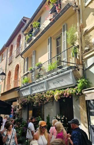 Stylish & Cozy Studio in the Heart of Old Antibes