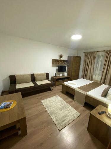 a large room with two beds and a couch at Lemora Apartments 3 in Focşani