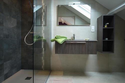 a bathroom with a shower with a sink and a mirror at Le jardin sainte anne in Balnot-sur-Laignes