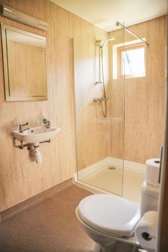 a bathroom with a toilet and a sink and a shower at Maple in Knighton