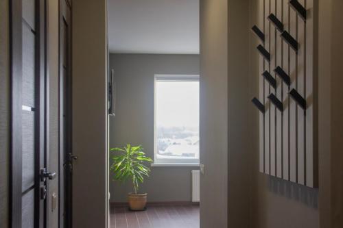 a hallway with a potted plant and a window at Ludza Comfort Apartment in Ludza
