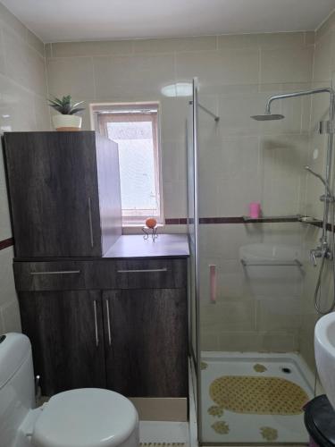a bathroom with a shower and a toilet and a sink at N24 Confy apartment in Luanda