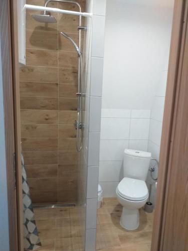 a bathroom with a toilet and a glass shower at Domek nad jeziorem in Jagodne