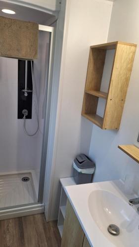 a bathroom with a sink and a shower at MH539 La Cabane des vagues in Saint-Julien-en-Born